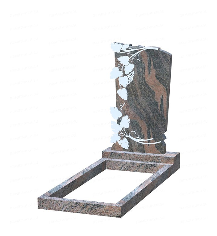 366_07_indianavrora